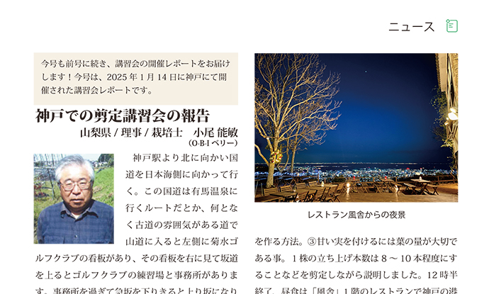 u[x[j[XTv摜 03y[WFj[XuK|[giꕔj