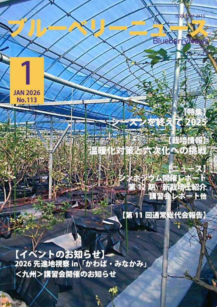 �u���[�x���[�j���[�X�T���v���摜 �\��